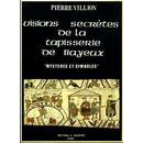 Visions secrètes de la Tapisserie de Bayeux
